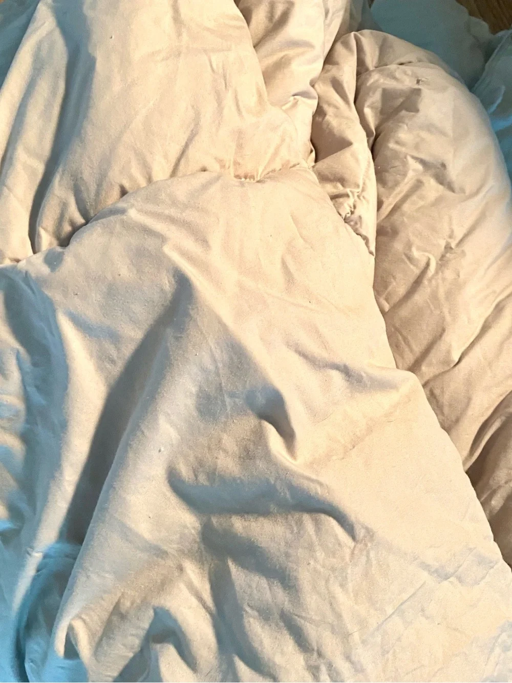 Soft Sage Green Down Alternative Comforter - Unbranded queen